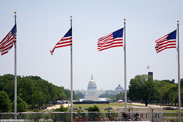 celebrate-america-july8-PM-031.jpg (Large)