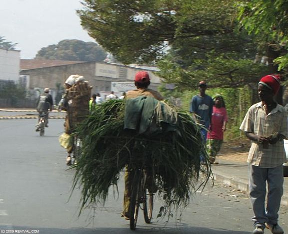 Burundi - 33.jpg (Large)