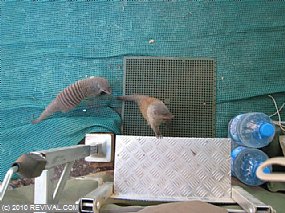 IMG_7628.jpg (Medium)