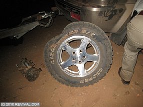 IMG_7611.jpg (Medium)