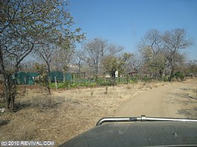 IMG_8273.jpg (Medium)